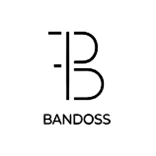 Bandoss Headphones