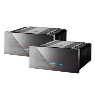 The Gryphon Essence mono amp (par) - The Gryphon