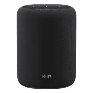 WiiM Sound Lite (Black) - wifi-højttaler - WiiM
