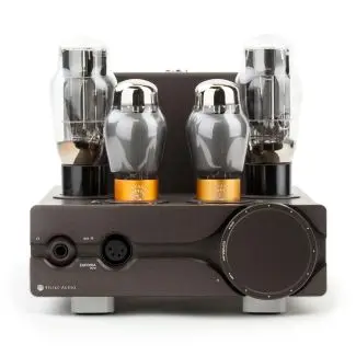 Feliks Audio Euforia EVO DEMO - Tilbud & Brugt