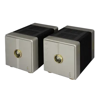 Riviera AFM50 mono amp (par) - 